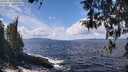 ./images/koeye/fitz-hugh/20260406/fitz-hugh20260406_124001M.jpg