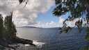 ./images/koeye/fitz-hugh/20260406/fitz-hugh20260406_135002M.jpg