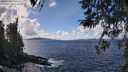 ./images/koeye/fitz-hugh/20260406/fitz-hugh20260406_135501M.jpg