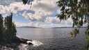 ./images/koeye/fitz-hugh/20260406/fitz-hugh20260406_142501M.jpg
