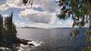 ./images/koeye/fitz-hugh/20260406/fitz-hugh20260406_144002M.jpg