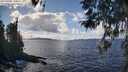 ./images/koeye/fitz-hugh/20260406/fitz-hugh20260406_144501M.jpg