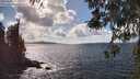 ./images/koeye/fitz-hugh/20260406/fitz-hugh20260406_152501M.jpg