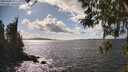 ./images/koeye/fitz-hugh/20260406/fitz-hugh20260406_154001M.jpg
