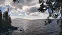 ./images/koeye/fitz-hugh/20260406/fitz-hugh20260406_155501M.jpg