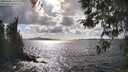 ./images/koeye/fitz-hugh/20260406/fitz-hugh20260406_162502M.jpg