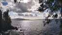 ./images/koeye/fitz-hugh/20260406/fitz-hugh20260406_164001M.jpg
