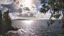 ./images/koeye/fitz-hugh/20260406/fitz-hugh20260406_164501M.jpg