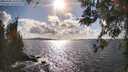 ./images/koeye/fitz-hugh/20260406/fitz-hugh20260406_165501M.jpg