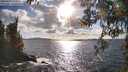 ./images/koeye/fitz-hugh/20260406/fitz-hugh20260406_173002M.jpg