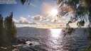./images/koeye/fitz-hugh/20260406/fitz-hugh20260406_181001M.jpg