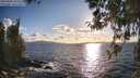 ./images/koeye/fitz-hugh/20260406/fitz-hugh20260406_183501M.jpg