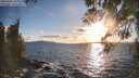 ./images/koeye/fitz-hugh/20260406/fitz-hugh20260406_185501M.jpg