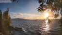 ./images/koeye/fitz-hugh/20260406/fitz-hugh20260406_192501M.jpg
