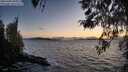 ./images/koeye/fitz-hugh/20260406/fitz-hugh20260406_201001M.jpg
