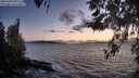 ./images/koeye/fitz-hugh/20260406/fitz-hugh20260406_202001M.jpg