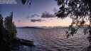 ./images/koeye/fitz-hugh/20260406/fitz-hugh20260406_202501M.jpg