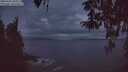 ./images/koeye/fitz-hugh/20260407/fitz-hugh20260407_061001M.jpg