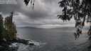 ./images/koeye/fitz-hugh/20260407/fitz-hugh20260407_065501M.jpg