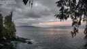 ./images/koeye/fitz-hugh/20260407/fitz-hugh20260407_070001M.jpg