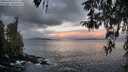 ./images/koeye/fitz-hugh/20260407/fitz-hugh20260407_070502M.jpg