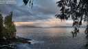./images/koeye/fitz-hugh/20260407/fitz-hugh20260407_073001M.jpg