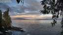 ./images/koeye/fitz-hugh/20260407/fitz-hugh20260407_073502M.jpg
