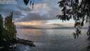 ./images/koeye/fitz-hugh/20260407/fitz-hugh20260407_074001M.jpg