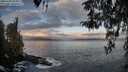 ./images/koeye/fitz-hugh/20260407/fitz-hugh20260407_074501M.jpg
