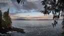 ./images/koeye/fitz-hugh/20260407/fitz-hugh20260407_075001M.jpg
