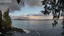 ./images/koeye/fitz-hugh/20260407/fitz-hugh20260407_075501M.jpg