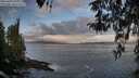 ./images/koeye/fitz-hugh/20260407/fitz-hugh20260407_080001M.jpg
