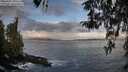 ./images/koeye/fitz-hugh/20260407/fitz-hugh20260407_080502M.jpg