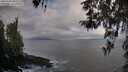 ./images/koeye/fitz-hugh/20260407/fitz-hugh20260407_085501M.jpg