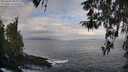 ./images/koeye/fitz-hugh/20260407/fitz-hugh20260407_090001M.jpg