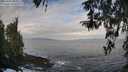 ./images/koeye/fitz-hugh/20260407/fitz-hugh20260407_091002M.jpg