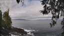 ./images/koeye/fitz-hugh/20260407/fitz-hugh20260407_093001M.jpg