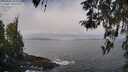 ./images/koeye/fitz-hugh/20260407/fitz-hugh20260407_104001M.jpg