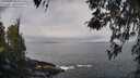 ./images/koeye/fitz-hugh/20260407/fitz-hugh20260407_105001M.jpg