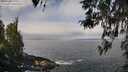 ./images/koeye/fitz-hugh/20260407/fitz-hugh20260407_105501M.jpg