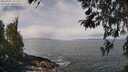 ./images/koeye/fitz-hugh/20260407/fitz-hugh20260407_112502M.jpg