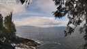 ./images/koeye/fitz-hugh/20260407/fitz-hugh20260407_113501M.jpg