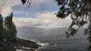 ./images/koeye/fitz-hugh/20260407/fitz-hugh20260407_114501M.jpg
