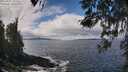 ./images/koeye/fitz-hugh/20260407/fitz-hugh20260407_121501M.jpg