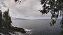 ./images/koeye/fitz-hugh/20260407/fitz-hugh20260407_131501M.jpg