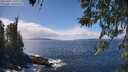 ./images/koeye/fitz-hugh/20260407/fitz-hugh20260407_140001M.jpg