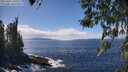 ./images/koeye/fitz-hugh/20260407/fitz-hugh20260407_140502M.jpg