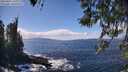 ./images/koeye/fitz-hugh/20260407/fitz-hugh20260407_141001M.jpg