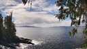 ./images/koeye/fitz-hugh/20260407/fitz-hugh20260407_144001M.jpg