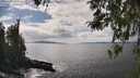 ./images/koeye/fitz-hugh/20260407/fitz-hugh20260407_145001M.jpg